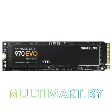 SSD диск Samsung 970 Evo 1TB (MZ-V7E1T0BW)